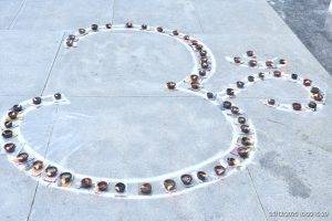 Karthigai Deepam Celebration