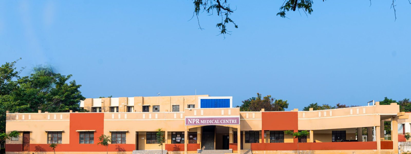 NPR_DSC2838 NPR_DSC2838