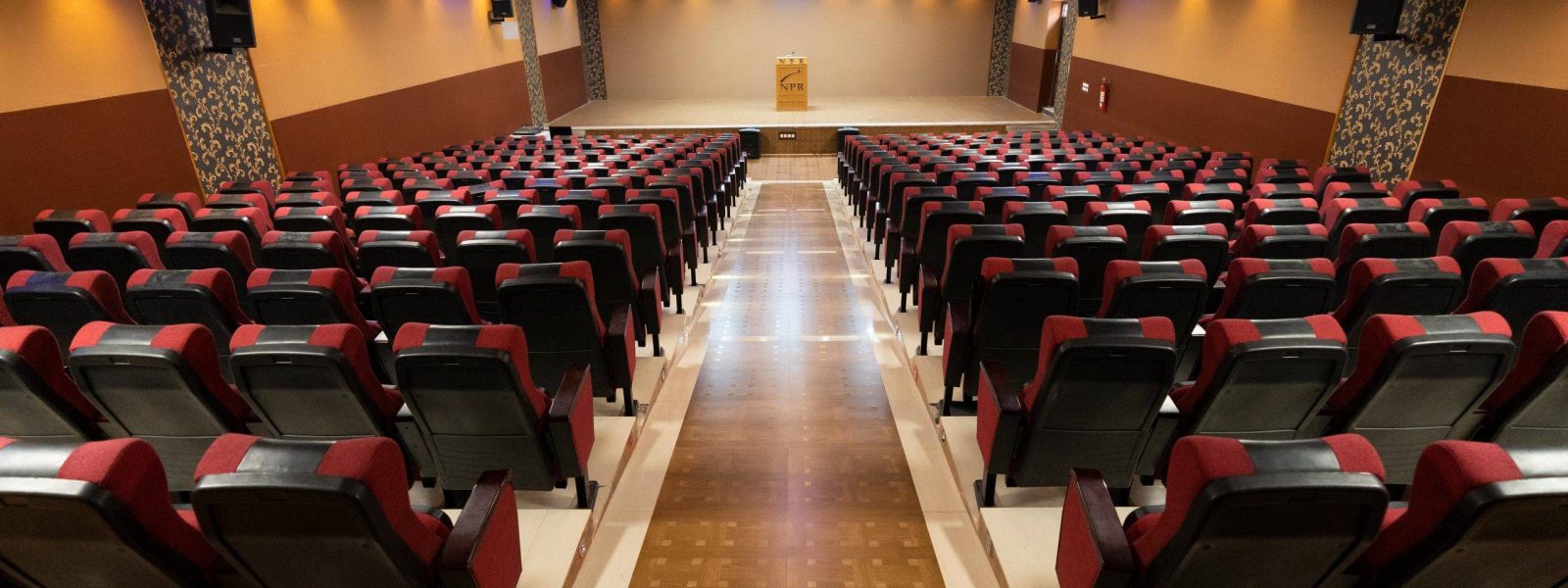 NPR_DSC3948 NPR_DSC3948